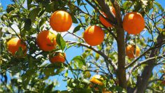 Valencia: una ciudad comprometida con la movilidad sostenible