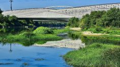 Zaragoza: ciudad de referencia de la movilidad sostenible
