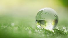 Día del Transporte COP25