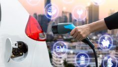 que sabes sobre coche electricos