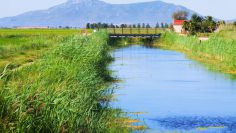 sinergia en valencia entre iberdrola montalt