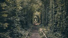 Turismo sostenible al moverte en verano