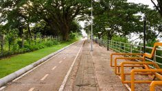 urbanismo y movilidad sostenible carril bici